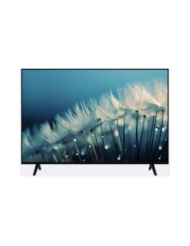 TV SCHNEIDER SMART QLED UHD 55P