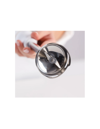 MIXEUR PLONGEANT TAURUS EASY 750W BLANC