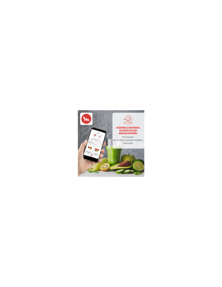 BLENDER LM811/LM871 PERFECT MIX 6 BLADES GLAS 1200 W MOULINEX