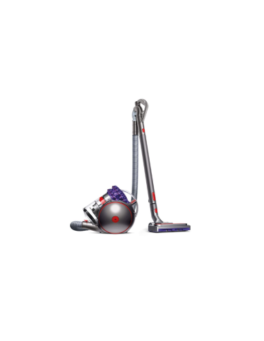 ASPIRATEUR DYSON TRAINEAU BIGBALL