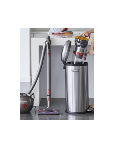 ASPIRATEUR DYSON TRAINEAU BIGBALL