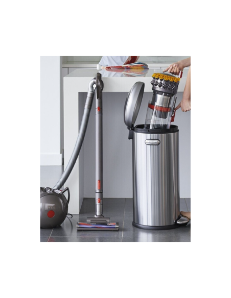 ASPIRATEUR DYSON TRAINEAU BIGBALL