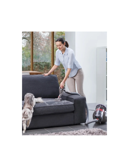 ASPIRATEUR DYSON TRAINEAU BIGBALL