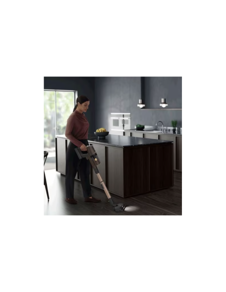 ASPIRATEUR AEG BALAI 0.4L, AUTONOMIE 60MIN, WALNUT BROWN