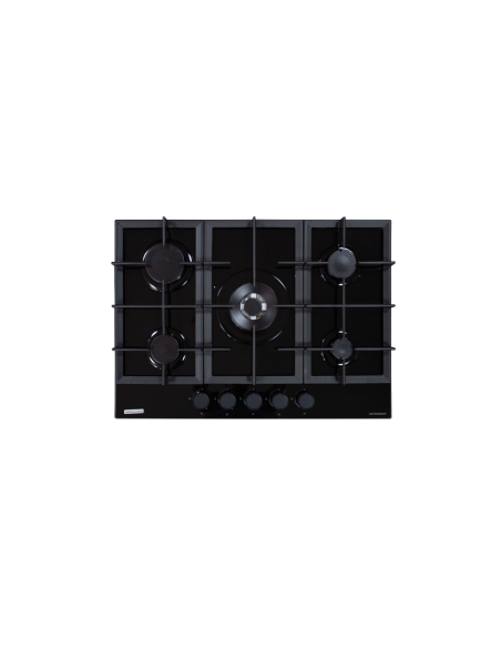 PLAQUE SCHNEIDER 5 FEUX 70 Cm EN VERRE NOIR