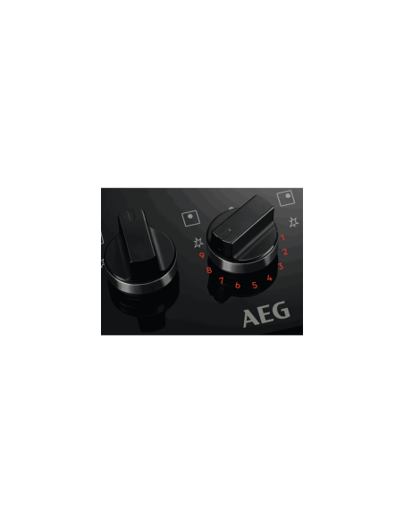 PLAQUE AEG 4 FEUX 60CM EN FONTE FLAMELIGHT INOX